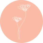A Door of Hope Pregnancy Center logo