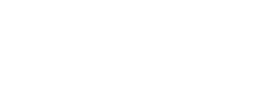 Tri-State Bird Rescue and Research Inc logo