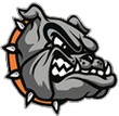 Brighton Bulldogs Football and Cheer logo