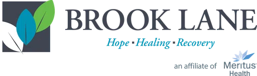 Brook Lane Health Services Inc logo