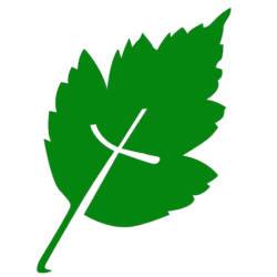 Indian Lake Christian Service Camp logo