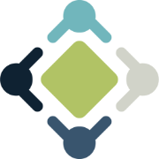 National Alliance of Safety-Net logo