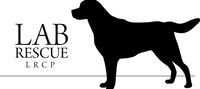 Lab Rescue of LRCP Incorporated logo