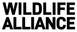 Wildlife Alliance Inc logo