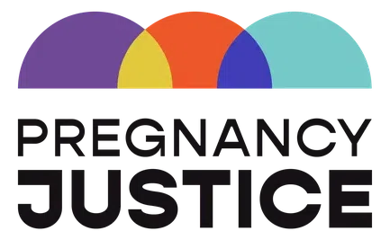 Pregnancy Justice Inc logo