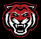 American Youth Football Inc logo