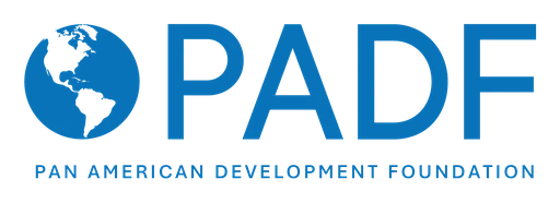 Pan American Development Foundation logo