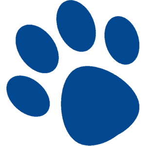 PTA Delaware Congress logo