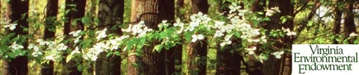 Virginia Environmental Endowment logo