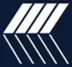 National Institute for Public Policy Inc logo