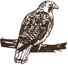 Wildlife Center of Virginia logo