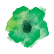 Lewis Ginter Botanical Garden Inc logo