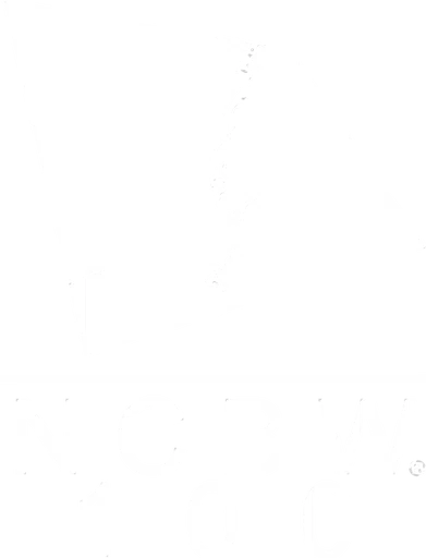National Coalition of 100 Black Women Inc Northern Virginia Chapte logo