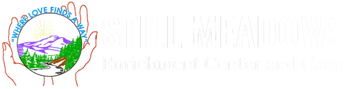 Still Meadows Enrichment Center and Camp logo