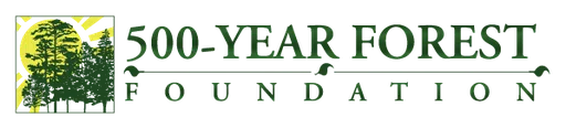 500 Year Forest Foundation logo