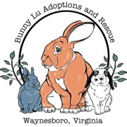 BUNNY Lu Adoptions Inc logo