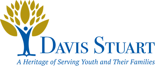 Davis-Stuart Inc logo