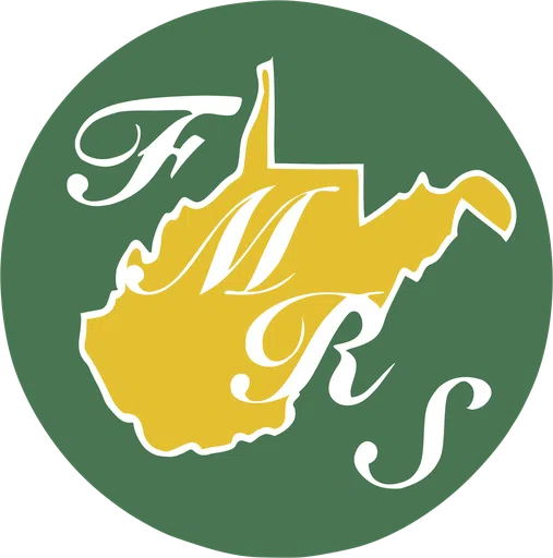 FMRS Health Systems Inc logo
