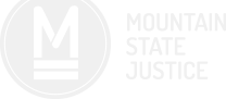 Mountain State Justice Inc logo