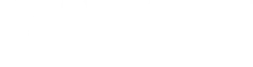 The Wilmington Symphony Orchestra Inc logo