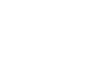 The Family Health International Foundation logo