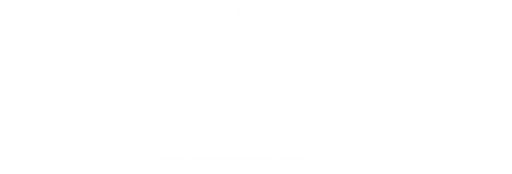 Holy Angels Foundation Inc logo