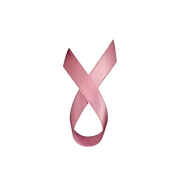 Friends for an Earlier Breast Cancer Test Inc logo