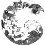 Wild for Life Center for Rehabilitation of Wildlife Inc logo