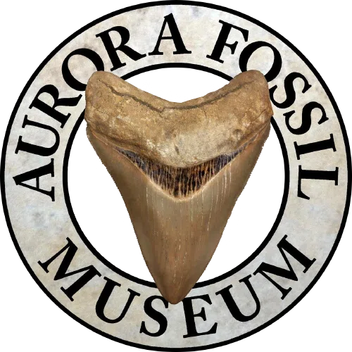 Aurora Fossil Museum Foundation Inc logo