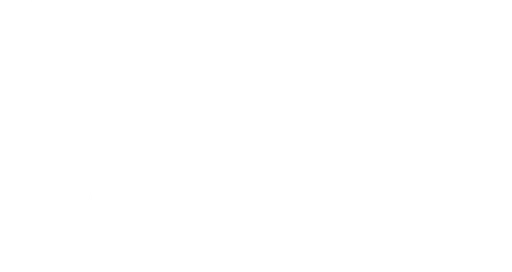 Women Leaders in Sports logo