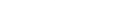 State Employees Credit Union Foundation logo