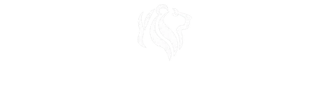Frances Lacy Elementary School Foundation logo