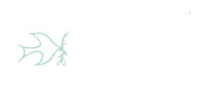 Community Hospice Foundation logo