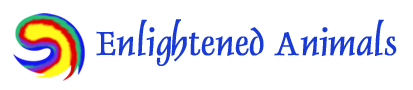 Kohn Foundation logo