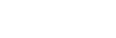 Workforce Development Institute Inc logo