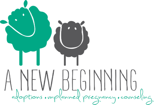 A New Beginning Adoption Agency Inc logo