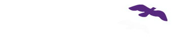 Alaska Institute for Justice logo