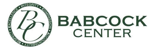 Babcock Center Inc logo