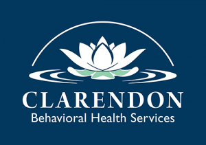 Clarendon County Commission on Alcohol & Drug Abuse logo