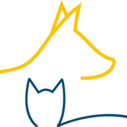 Dorchester Paws logo