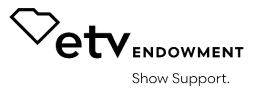 ETV Endowment of South Carolina Inc logo