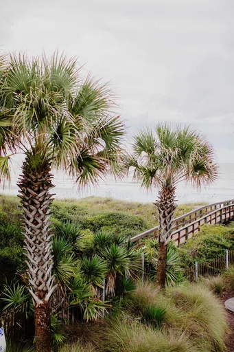 Kiawah Island Community Association Inc logo