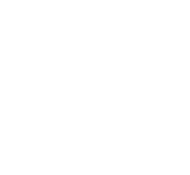 The Cooper River Bridge Run Inc logo
