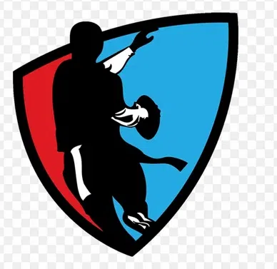 American Youth Football Inc logo