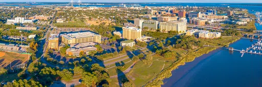 Charleston Regional Development Alliance logo