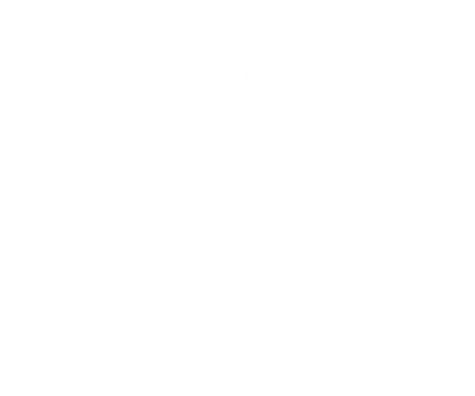 Berkeley Seniors Inc logo