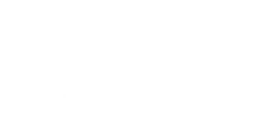 Jewish Endowment Foundation of South Carolina logo