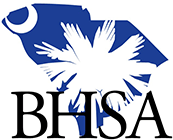 Behavioral Health Services of South Carolina Inc logo