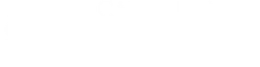 North Carolina Symphony Foundation logo