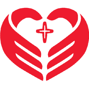 Saint Josephs Health System Inc logo